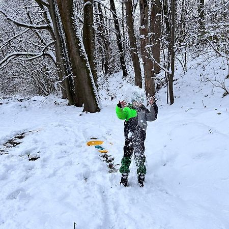 Villa Srub V Bolkovskem Udoli Rudník Esterno foto