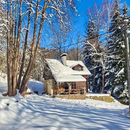 Villa Srub V Bolkovskem Udoli Rudník Esterno foto