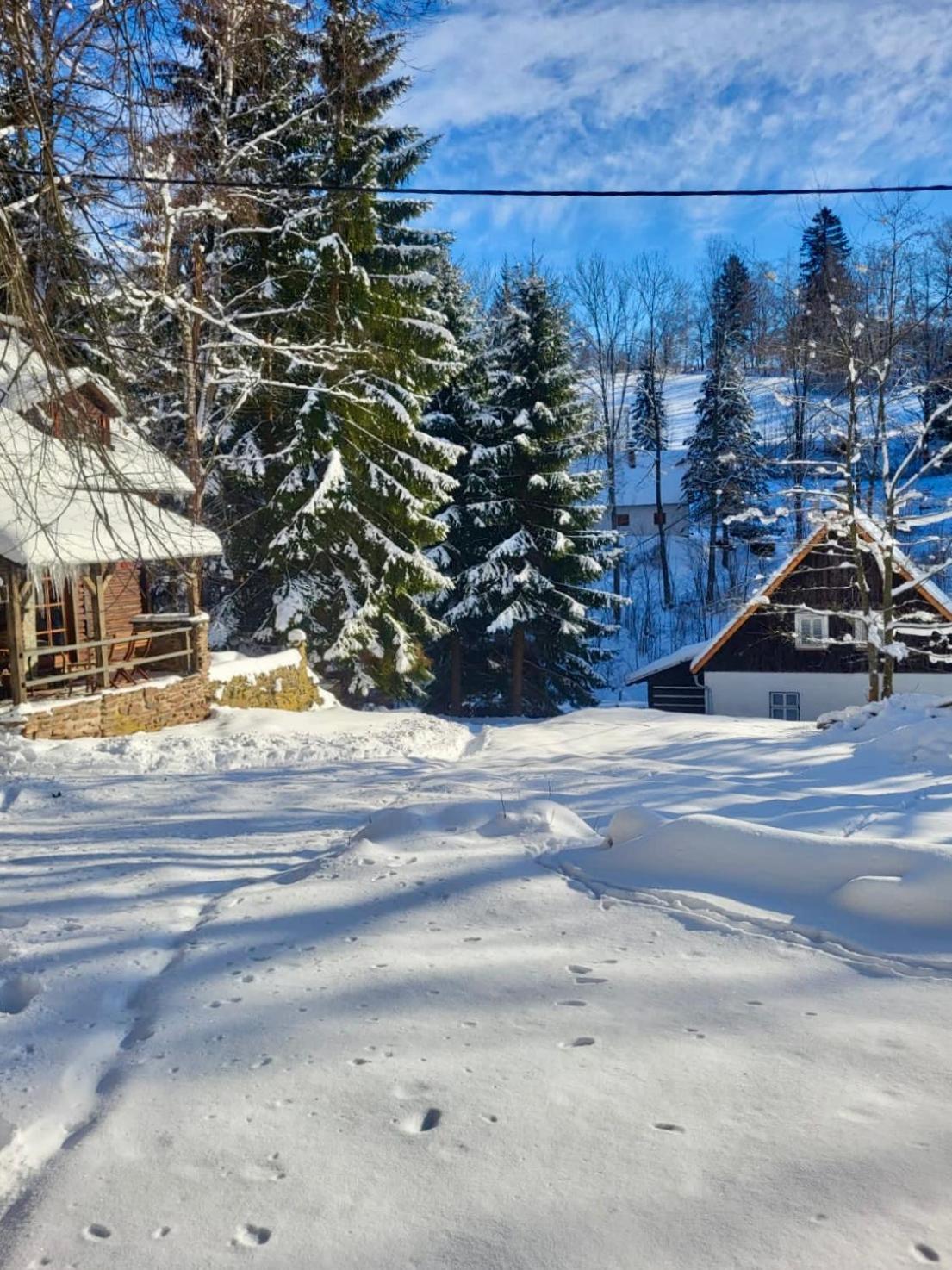 Villa Srub V Bolkovskem Udoli Rudník Esterno foto
