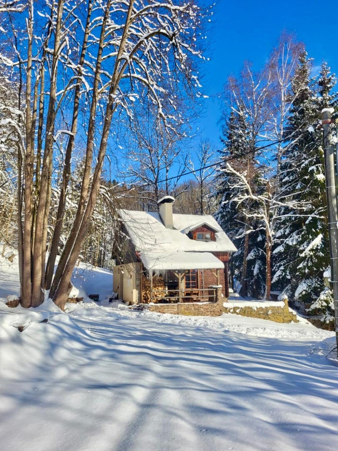 Villa Srub V Bolkovskem Udoli Rudník Esterno foto